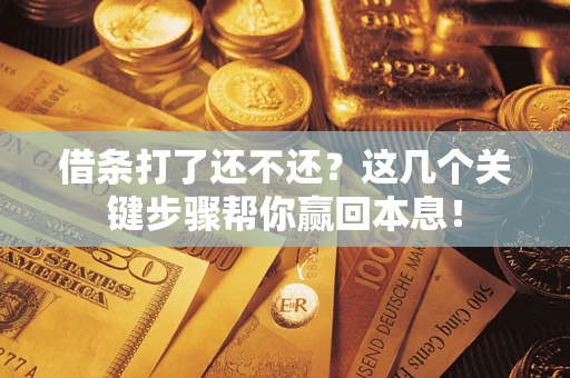 武汉借条打了还不还？这几个关键步骤帮你赢回本息！
