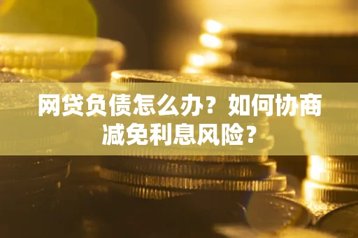 武汉网贷负债怎么办？如何协商减免利息风险？