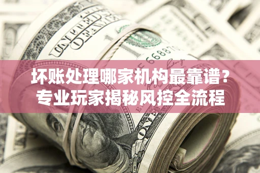 武汉坏账处理哪家机构最靠谱？专业玩家揭秘风控全流程