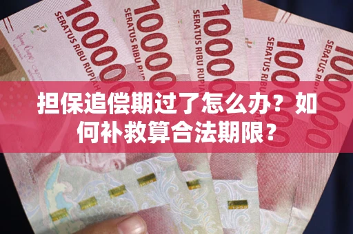 武汉担保追偿期过了怎么办？如何补救算合法期限？