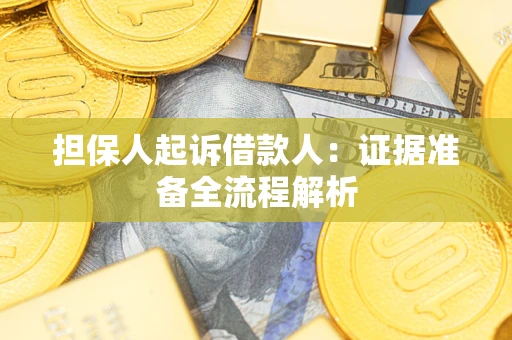 武汉担保人起诉借款人：证据准备全流程解析