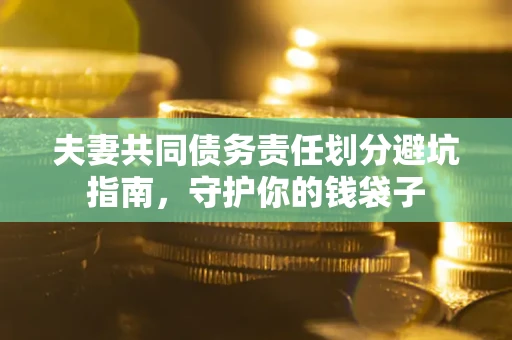 武汉夫妻共同债务责任划分避坑指南，守护你的钱袋子