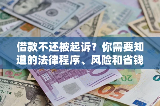 武汉借款不还被起诉？你需要知道的法律程序、风险和省钱技巧
