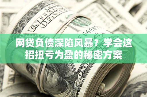 武汉网贷负债深陷风暴？学会这招扭亏为盈的秘密方案