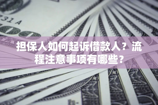 武汉担保人如何起诉借款人？流程注意事项有哪些？